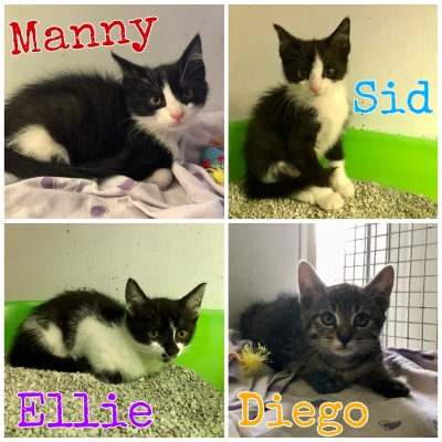 Ellie, Diego, Sid, Manny