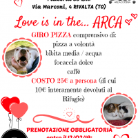Love is in the... ARCA